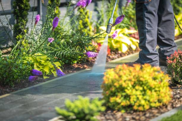 Best Dumpster Area Cleaning  in Mclean, TX